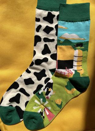 Цветные носки, носки с рисунком, носки с принтом, яркие носки