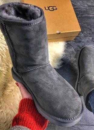 Угги  ugg classic suede gray