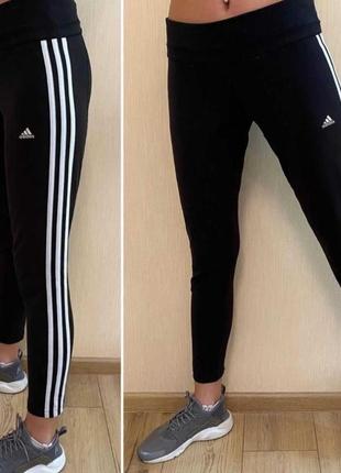 Легінси adidas