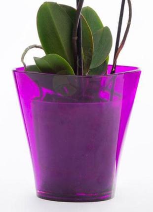 Вазон для орхідей квадро 14.5 см малиновий3 фото