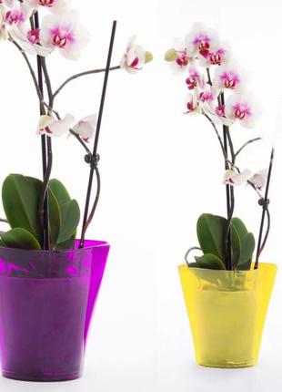 Вазон для орхідей квадро 14.5 см малиновий2 фото