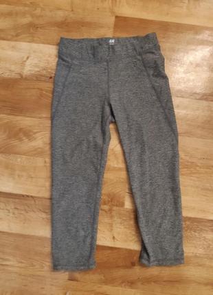 Спортивні лосини