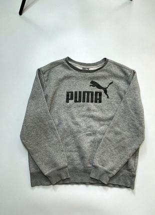 Сірий світшо puma, l.