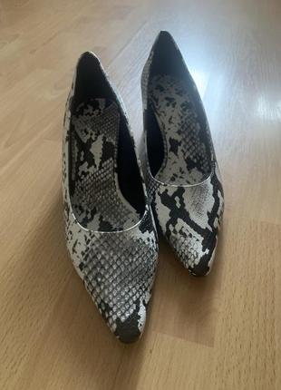 Новые  красивые туфли рептилия модная классика от zara5 фото
