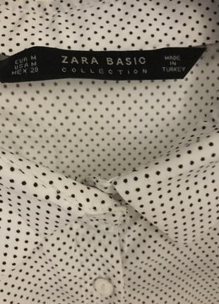 Zara базовая офисная рубашка горохи капельки2 фото