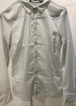 Zara базовая офисная рубашка горохи капельки1 фото