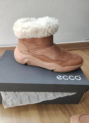 Ecco оригинал