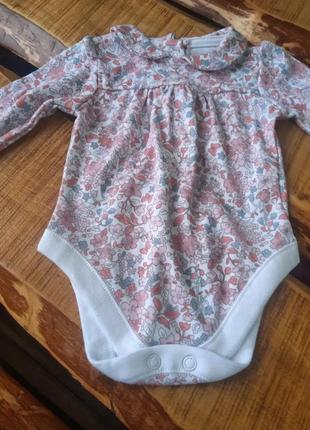 Боді, бодік з довгим рукавом