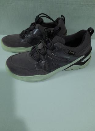 Кросівки ecco