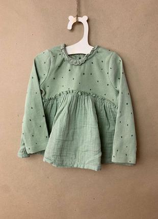 Оливкова блуза next