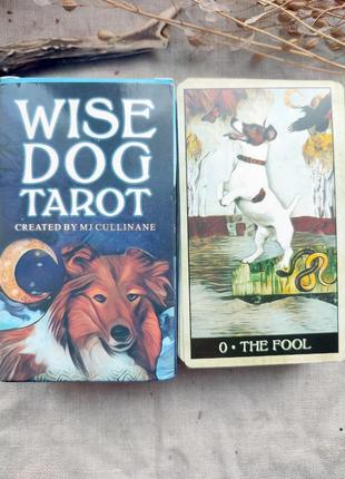 Гадальні карти таро мудрого собаки wize dog таро з собачками собаками колода милих карт