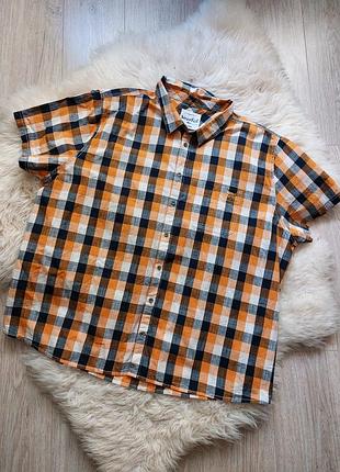 💙🌺💛 крута сорочка красива клітинка мега батал