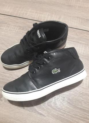 Lacoste!кроссовки