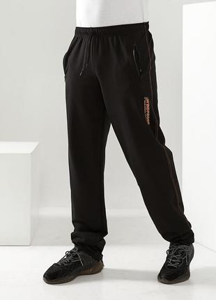 Чоловічі спортивні штани з турецького трикотажу tailer розміри 48-581 фото