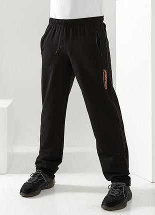 Чоловічі спортивні штани з турецького трикотажу tailer розміри 48-588 фото