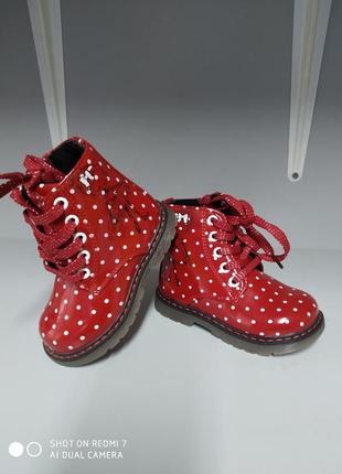 Демисезонные ботинки в горошек с.луч м-566 красный1 фото