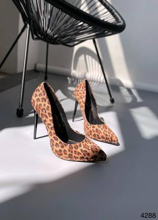 Туфли на шпильке леопард3 фото
