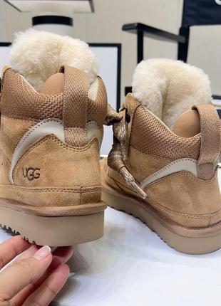 Кеды высокие хайтопы сникерсы угги ugg highmel5 фото