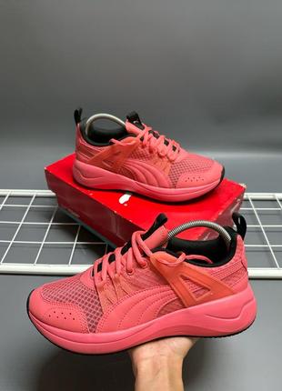 Кроссовки puma1 фото