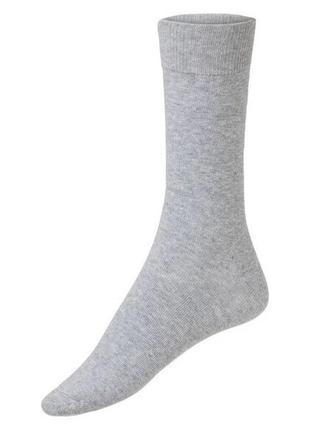 Чоловічі бавовняні шкарпетки, носки, 39-42, сірі, livergy