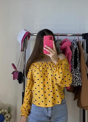 Блуза , блузка 4