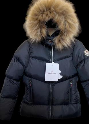 Куртка зима moncler р1-141 фото