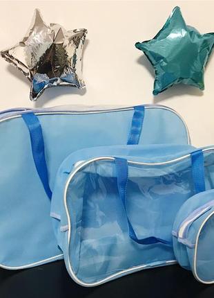 Набір із 2 напівпрозорих сумок m, l зі спанбонду + пвх nika torri блакитний