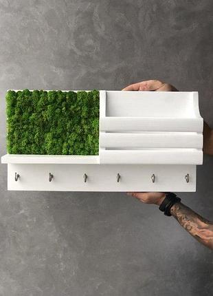Ключниця настінна дерево та стабілізований мох minature moss