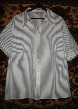 Рубашка в полоску bexleys