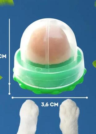 Кошачья конфета. лакомство для кошек с кошачьей мятой и витаминами3 фото