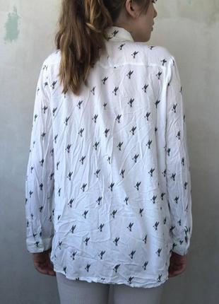 Сорочка h&m рубашка блузка жіноча біла легка прозора  з птахами бренд, натуральна принт птахи світла5 фото