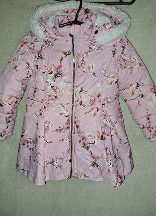 Красивая пальчишка для