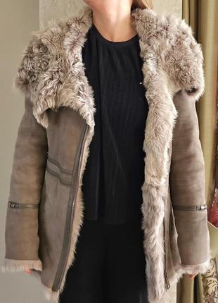 Тепла дублянка, вівця