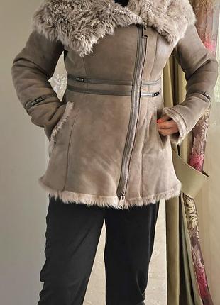 Тепла дублянка, вівця