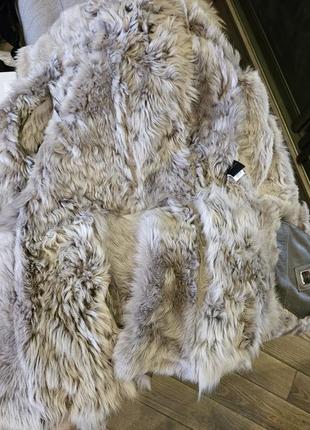 Тепла дублянка, вівця