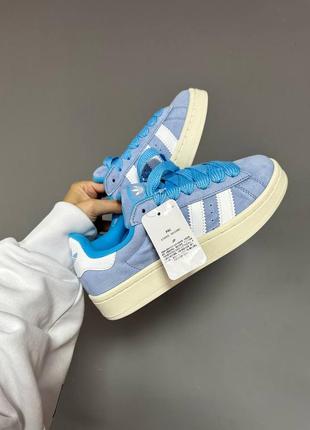 Adidas campus « ambient sky blue » premium