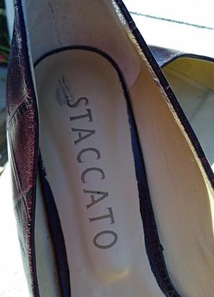 Туфли р.37.5-38 италия staccato4 фото