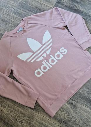 Пудровий світшот adidas1 фото