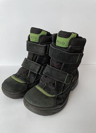 Зимние сапоги ecco