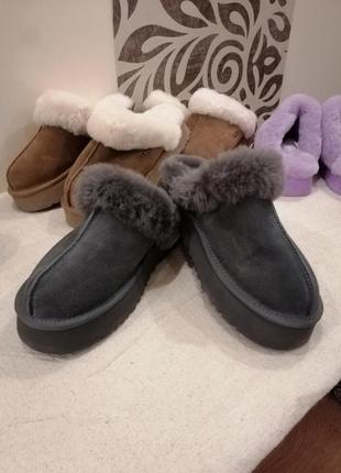 Тапочки теплые на платформе ugg tazz7 фото