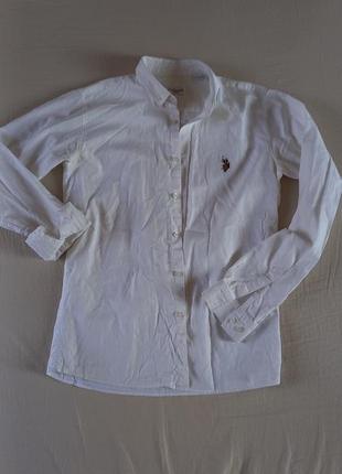 Сорочка, рубашка поло6 фото