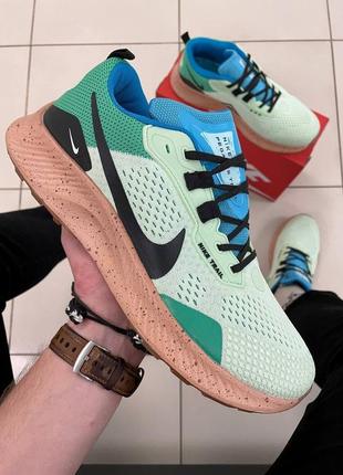 Nike pegasus trail