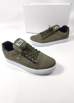 Кроссовки мужские lacoste khaki (хаки)