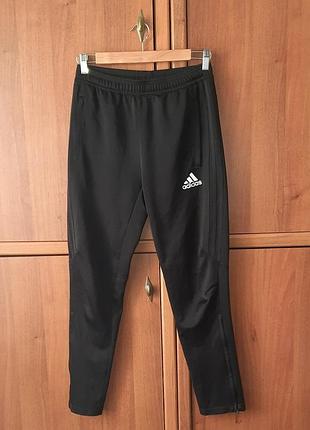 Чоловічі спортивні штани adidas