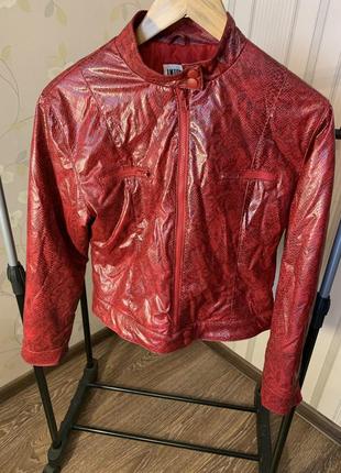 Куртка , демисезон ,  на синтепоні