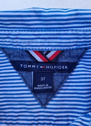 Рубашка Tommy hilfiger 2-3 года рубашка коттоновая в полоску7 фото