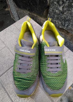 Кросівки geox 4
