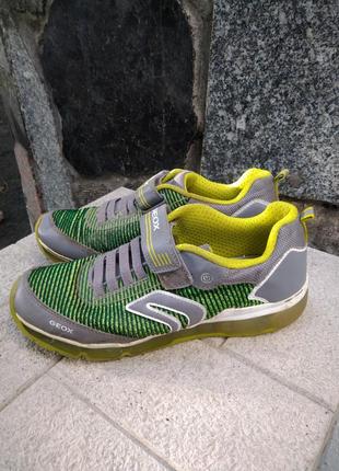 Кросівки geox 5