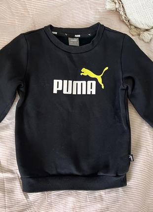 Puma