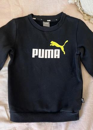 Puma 7